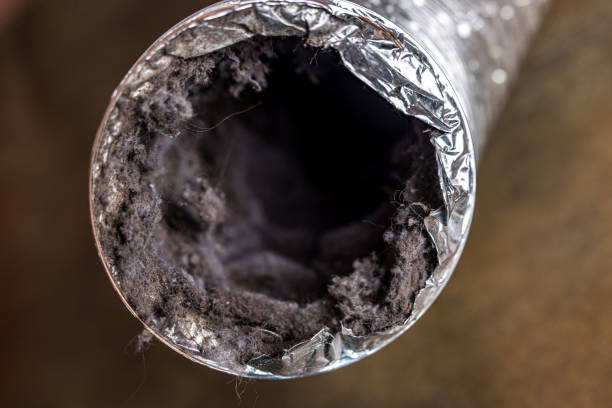 Best Affordable Duct Cleaning Services  in Coal Grove, OH