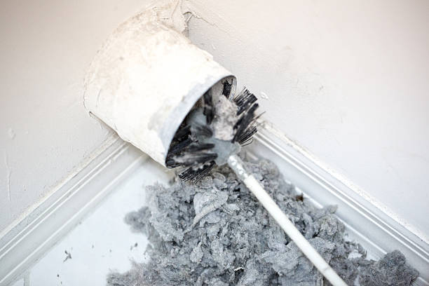 Best Dryer Vent Cleaning Services  in Coal Grove, OH